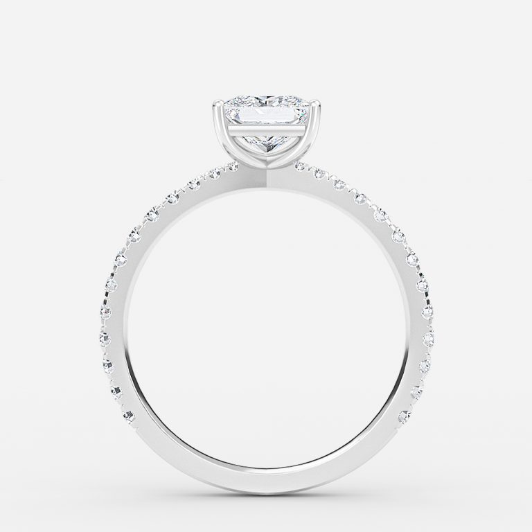 princess cut with diamond band